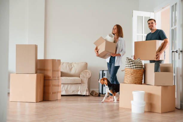 istockphoto-1822186572-612x612-1